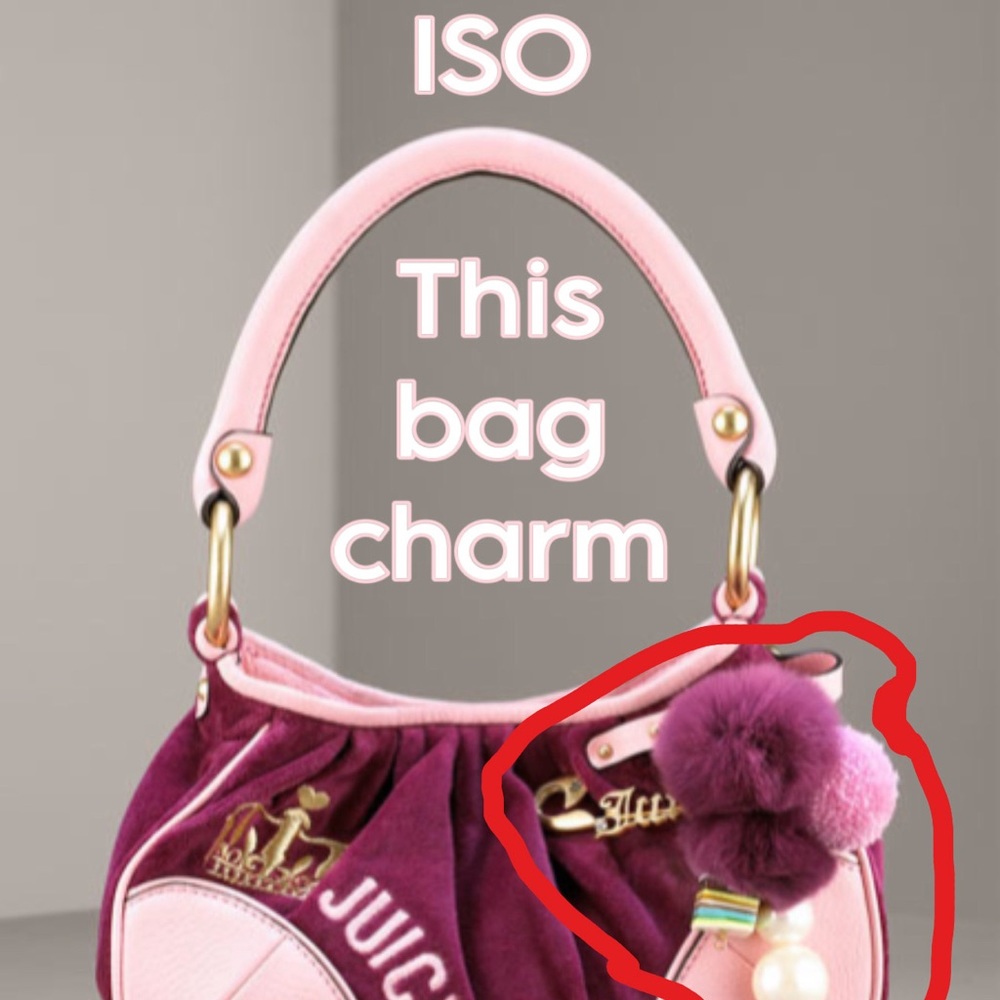 ✅ FOUND ✅   ISO Juicy Couture Saftey pin bag charm